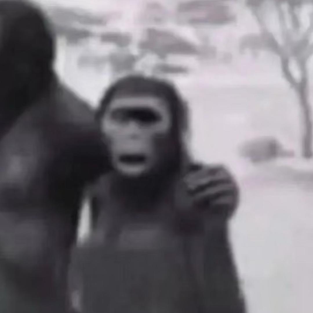 美女怎么会ᵉᵐᵒ