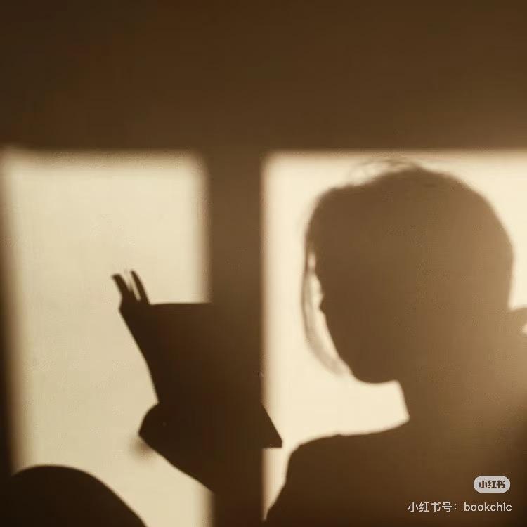 阅华书仓