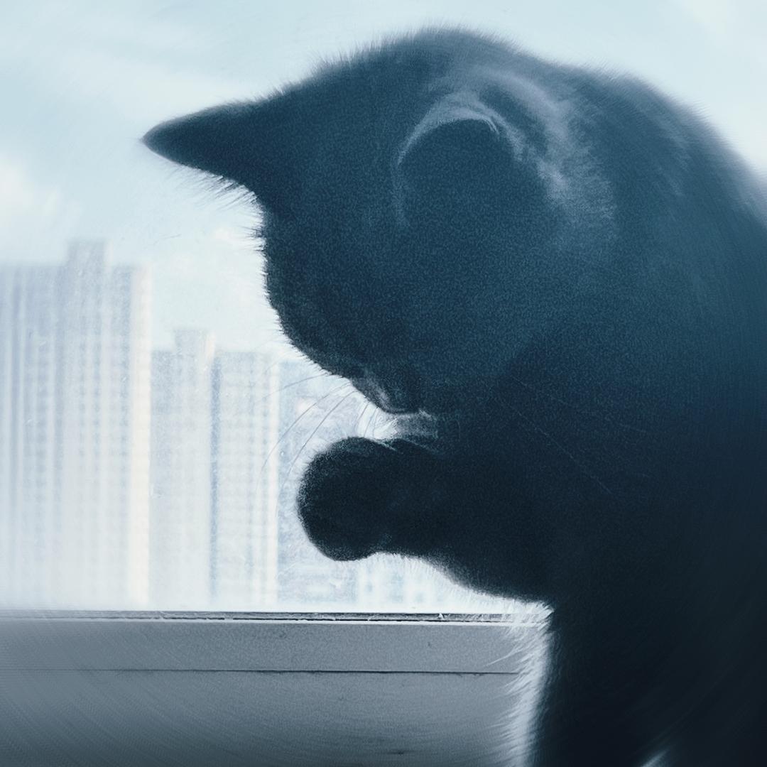 星旅映画婚庆活动商业跟拍摄影