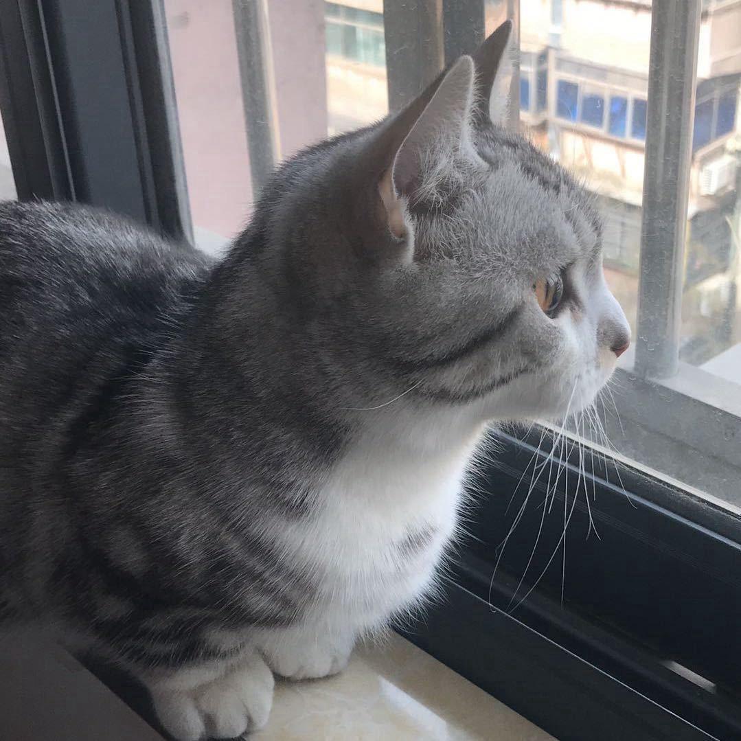 馨悦爸爸