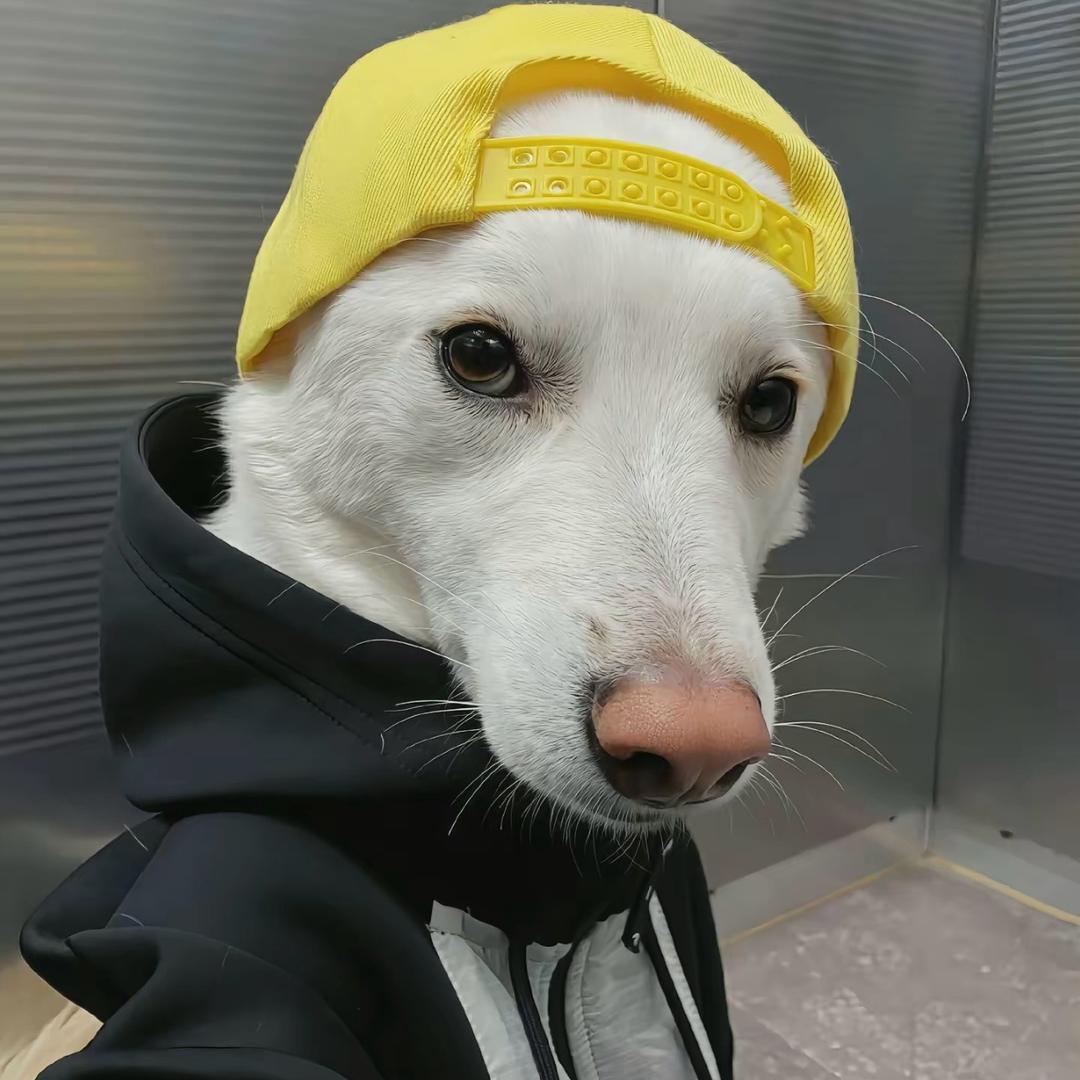 续終👊