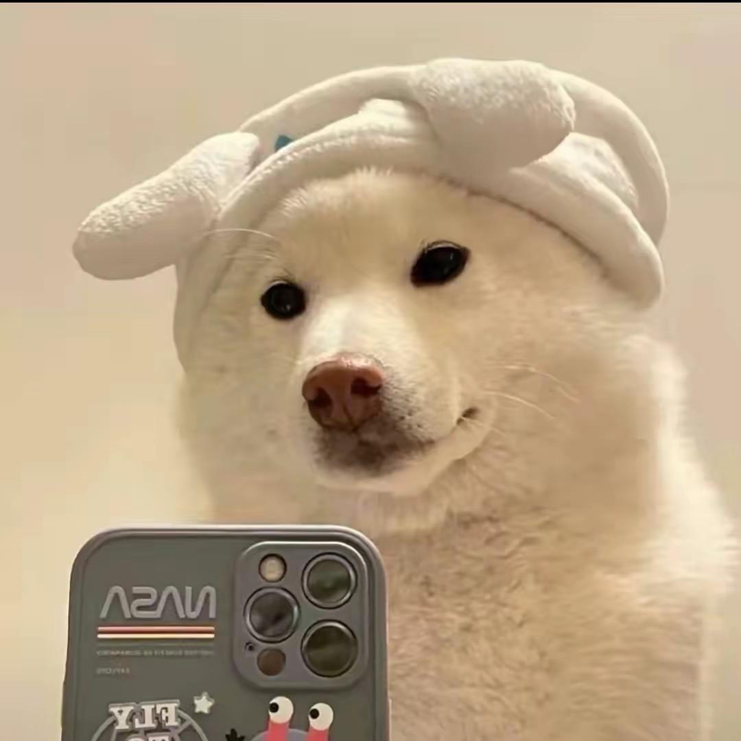 Z-zz1