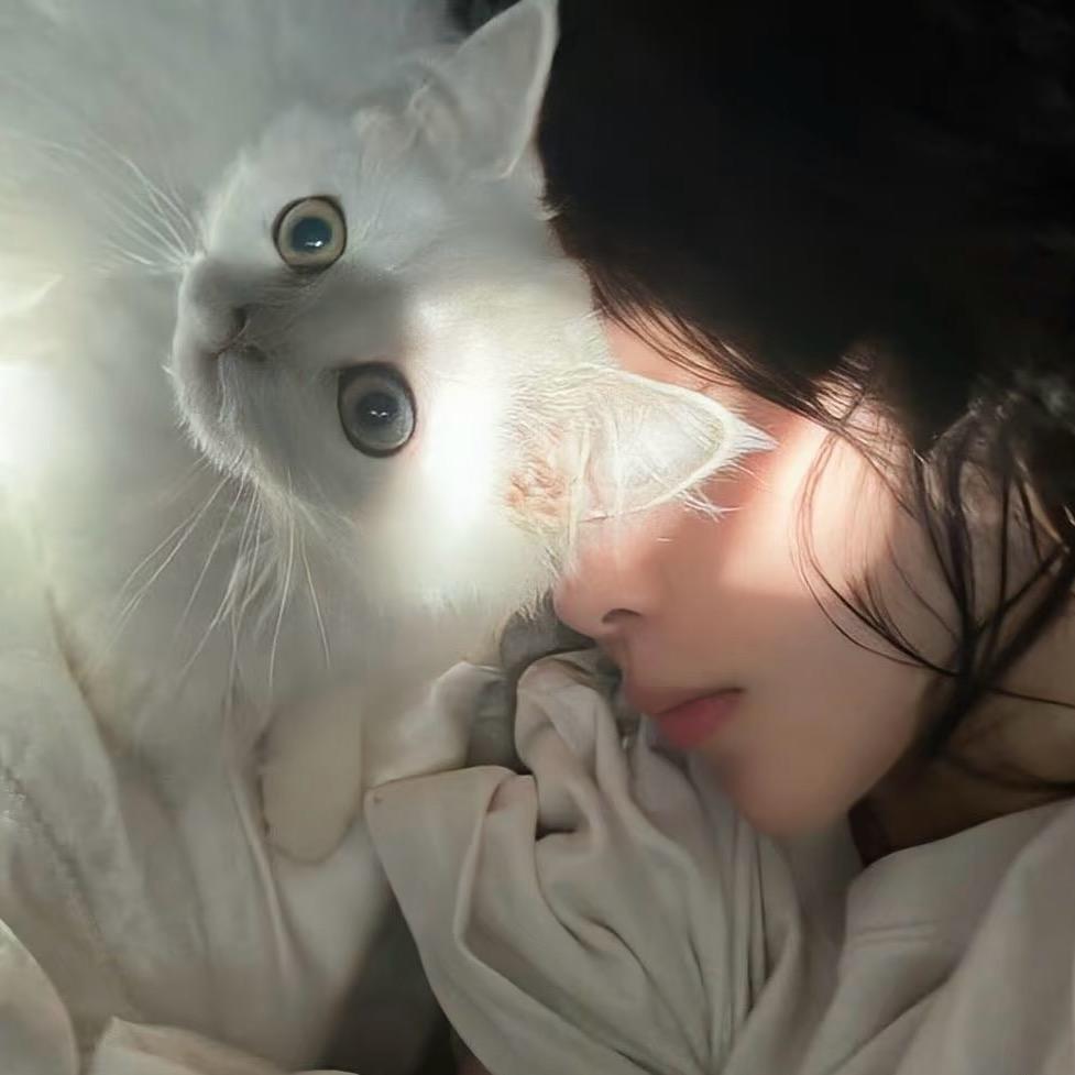 如梦亦如幻