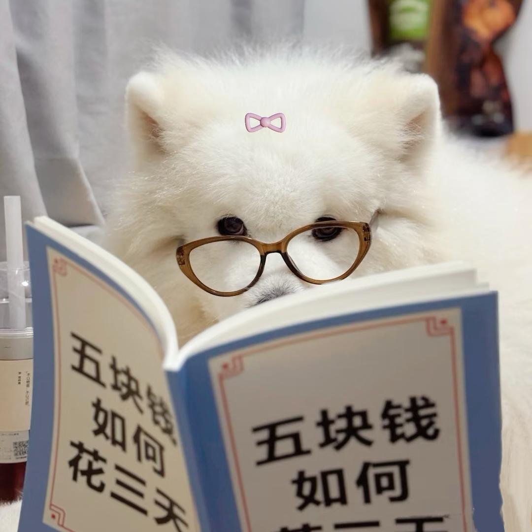 赵卡卡