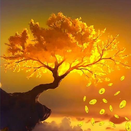 🌸卓轩好物分享🌺