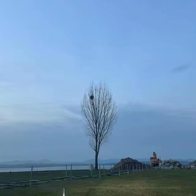 🌈  扬了二正的