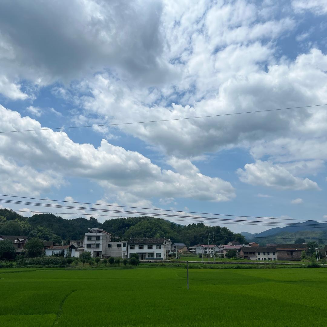 米西文化