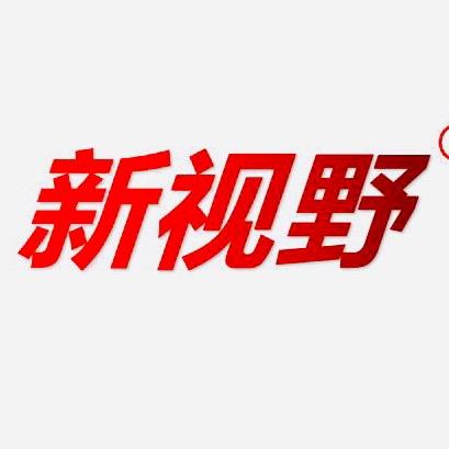 湖北新视野铸造