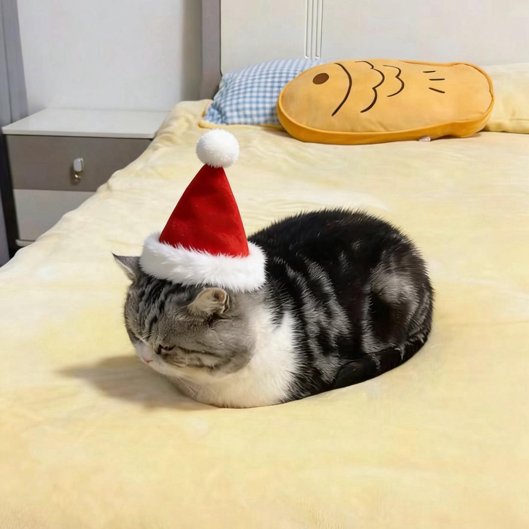 小猫骑圣诞老人送掏耳勺