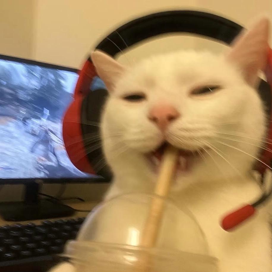 小猫饭子