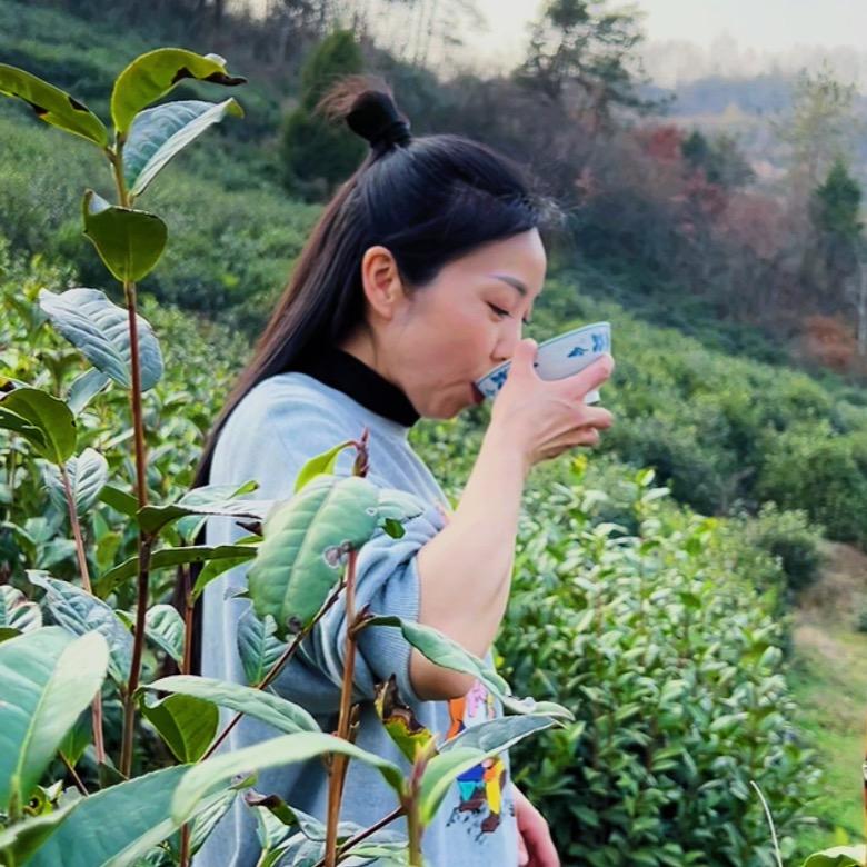 肖肖茶业胡氏茶行