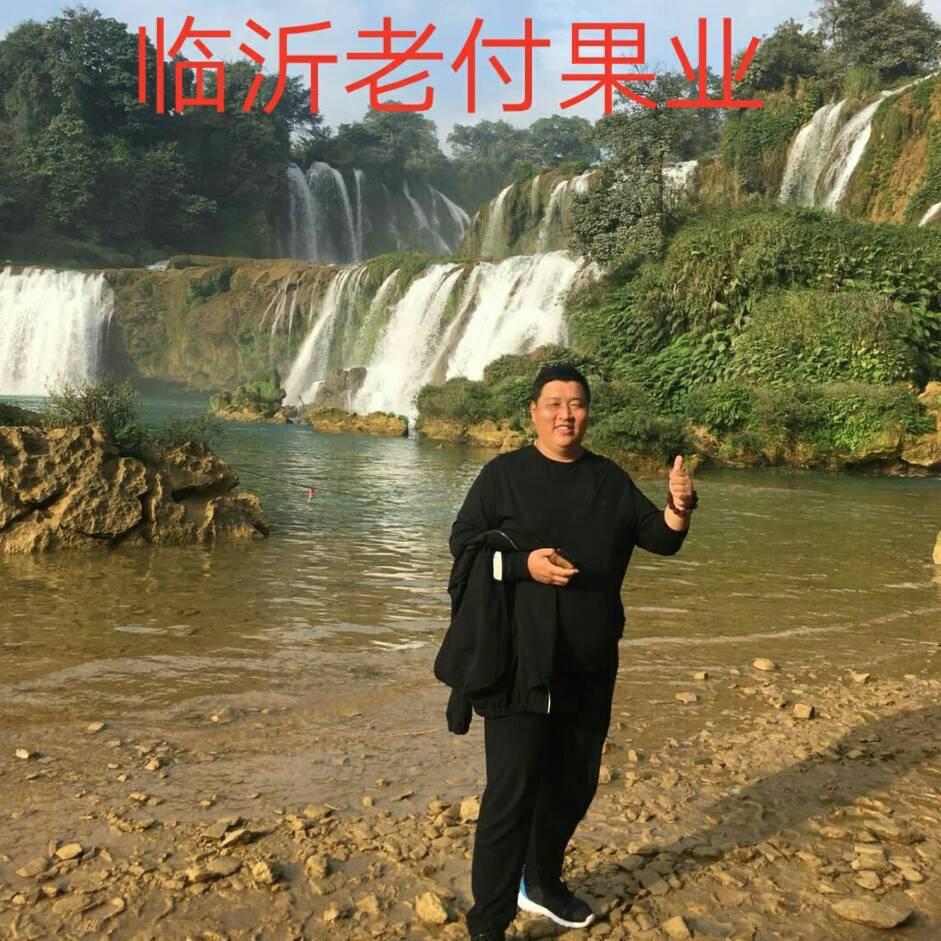 山东临沂 老付果业 代购代销