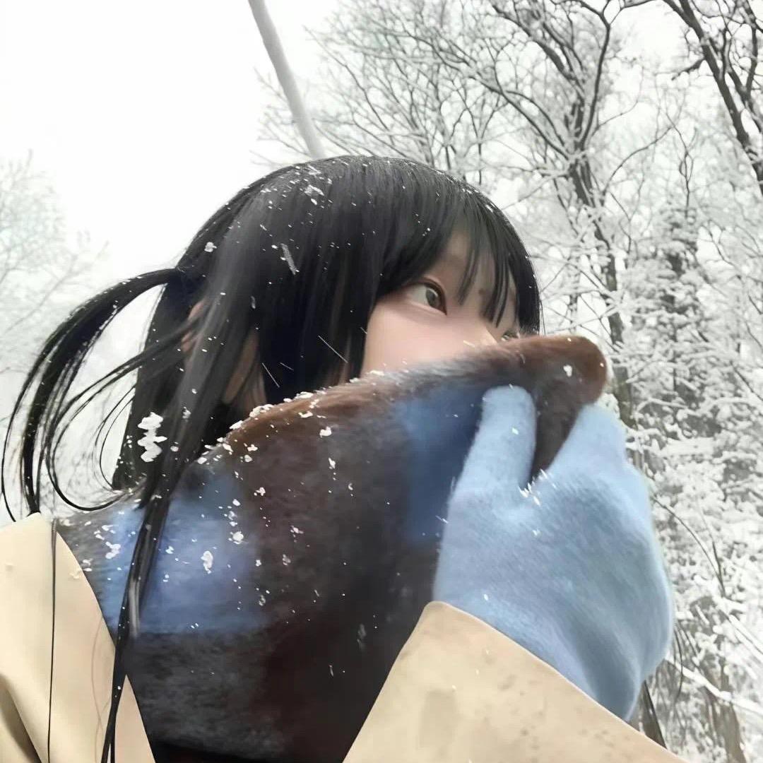 凛冬雪¹