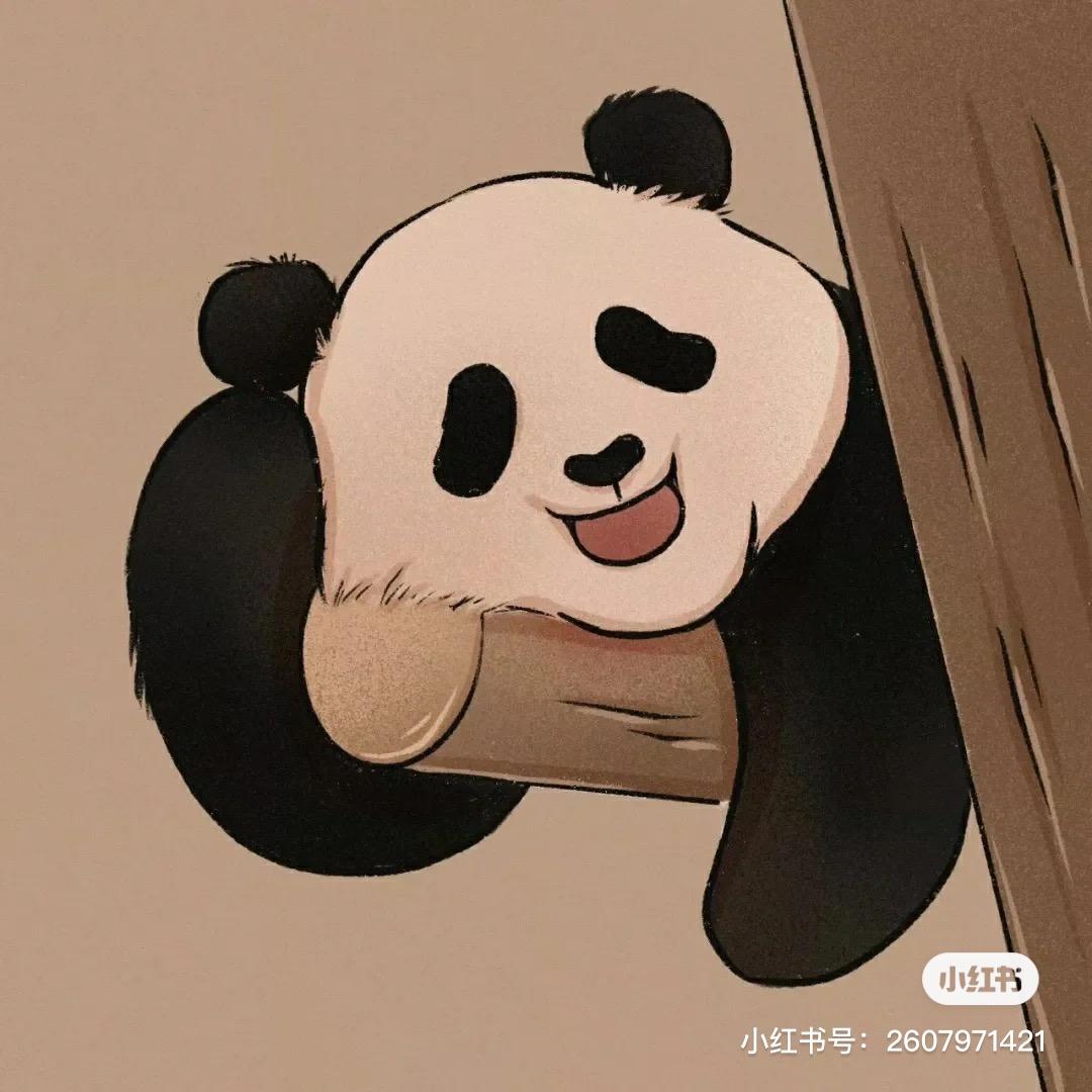 汇武功夫熊猫(吴教练)🐼