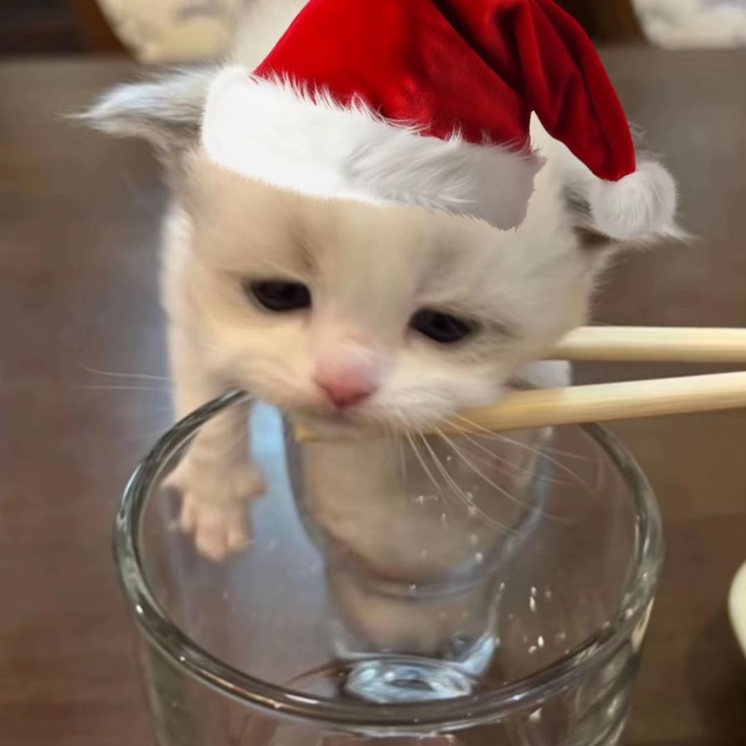 66⁰⃚⃙̴༝ ⁰⃚⃙̴ 6