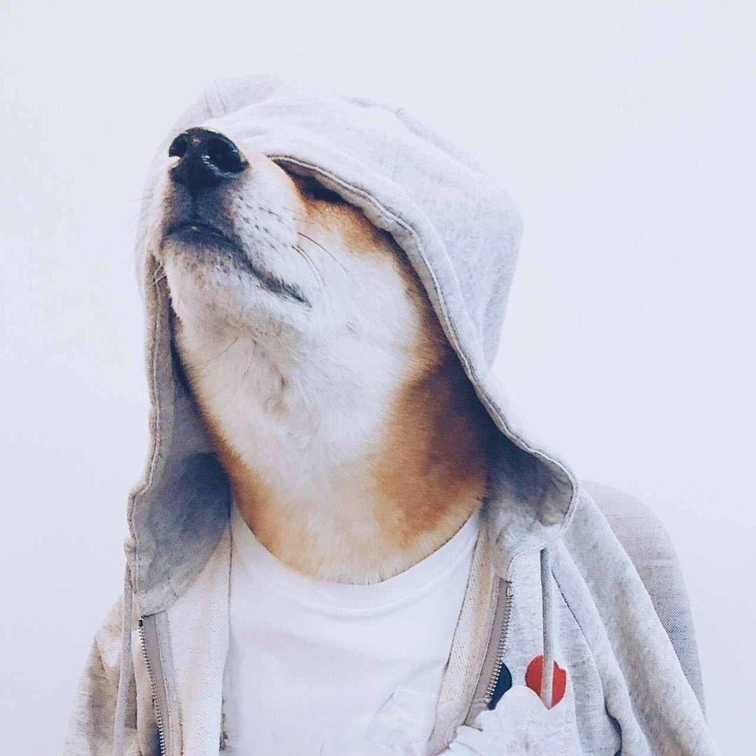贰