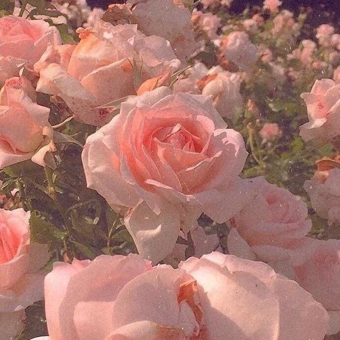 干饭少女✨✨✨（越吃越瘦）