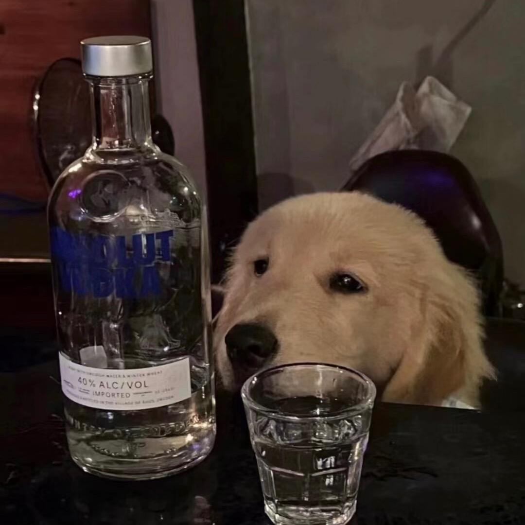 君酲