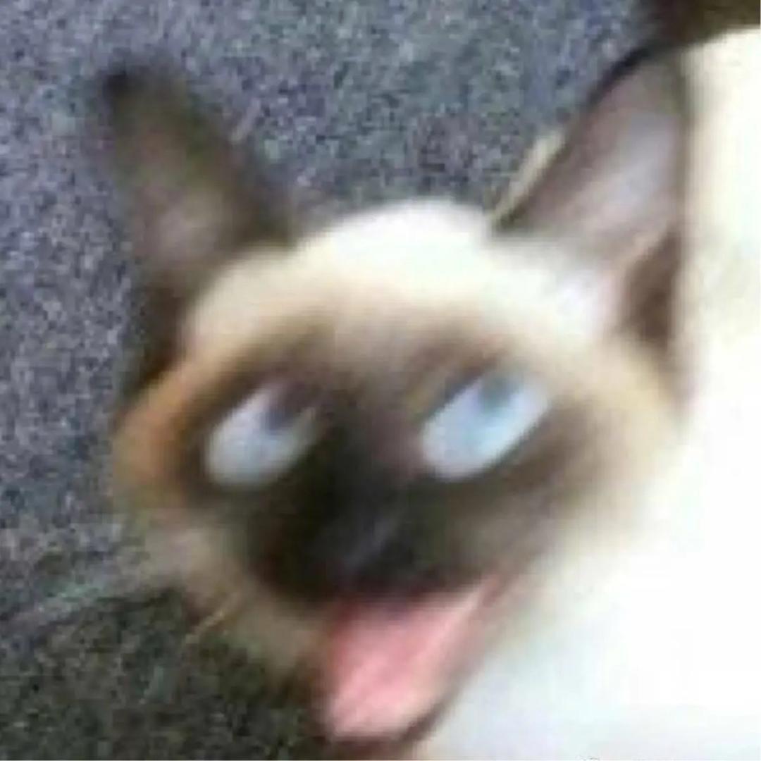 粥粥粥