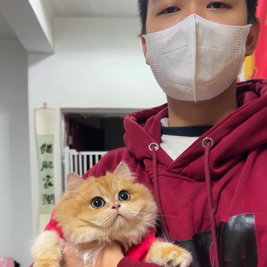 南宁胖仔猫屋（直播号）