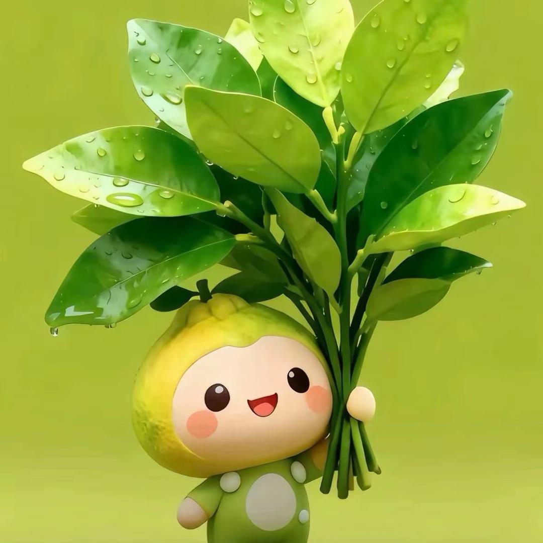 卖衣帽架的“冯二小姐”