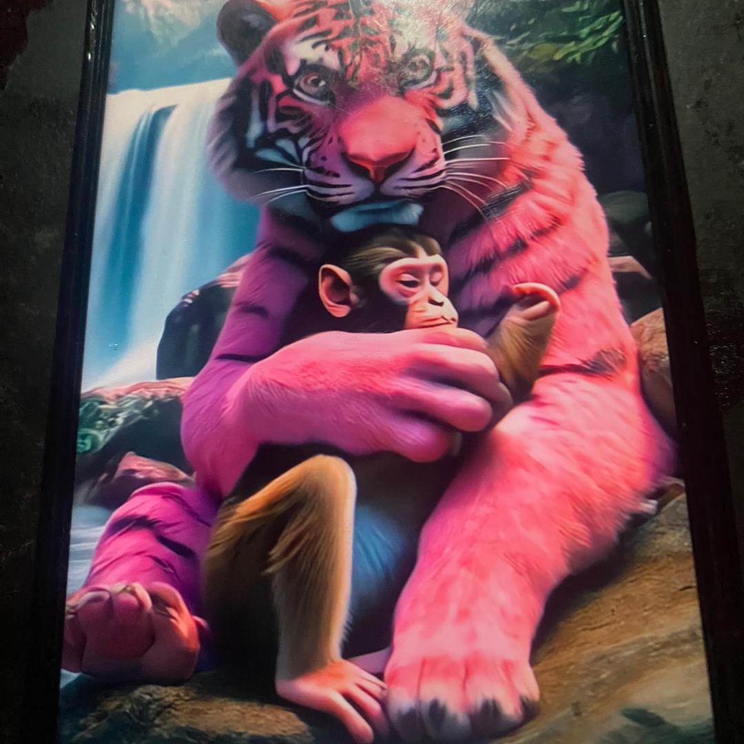 三朵莲花随身转