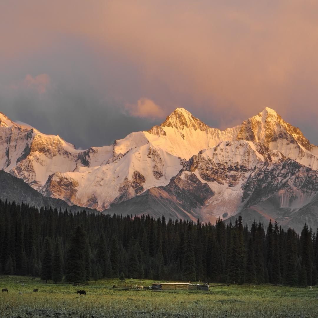 月亮不睡我不睡