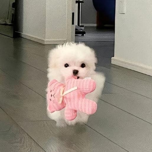 熊-