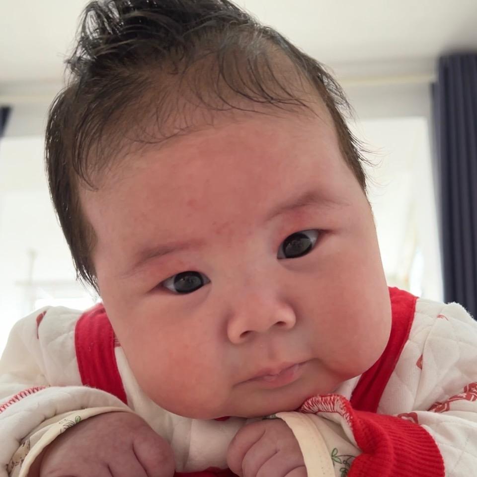 小布丁
