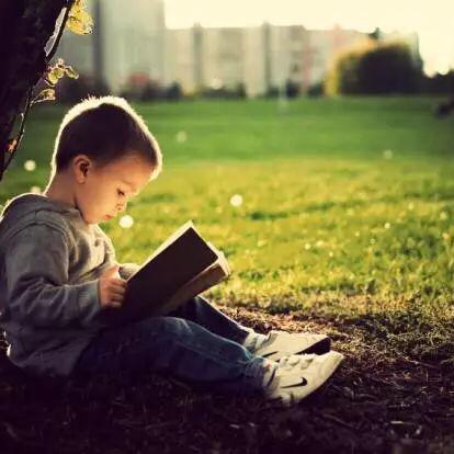 云开日出🌲🌳🌳