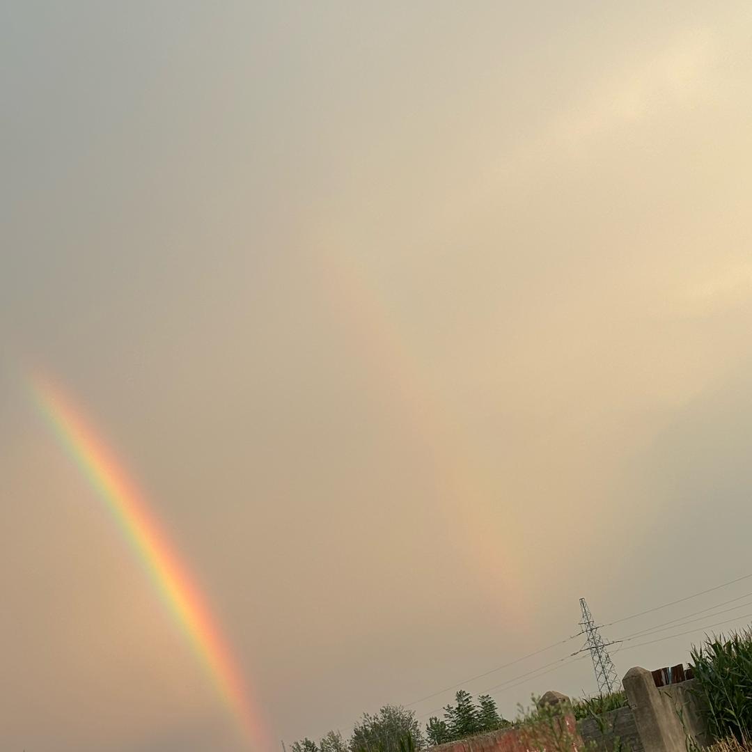 我叫陈陈