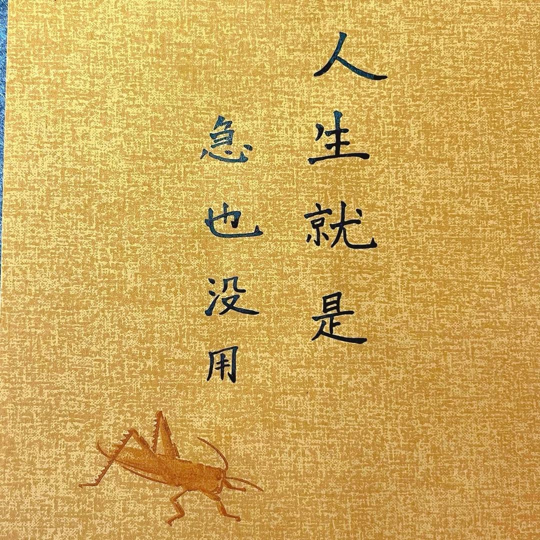 舍  得。