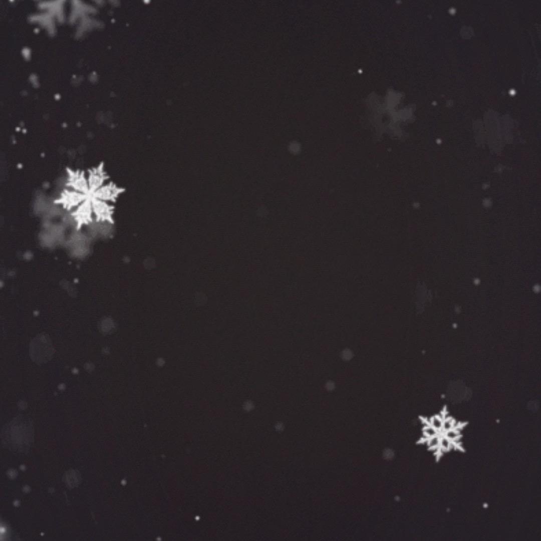 嘘