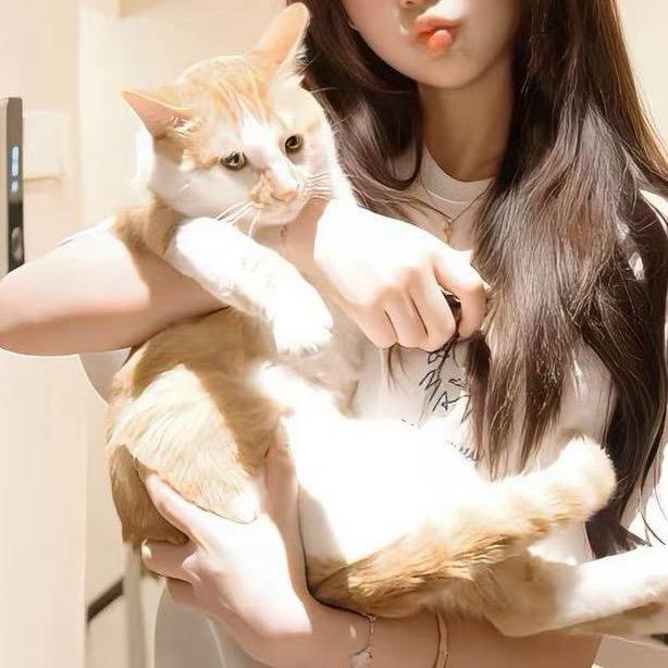 我女朋友很可爱
