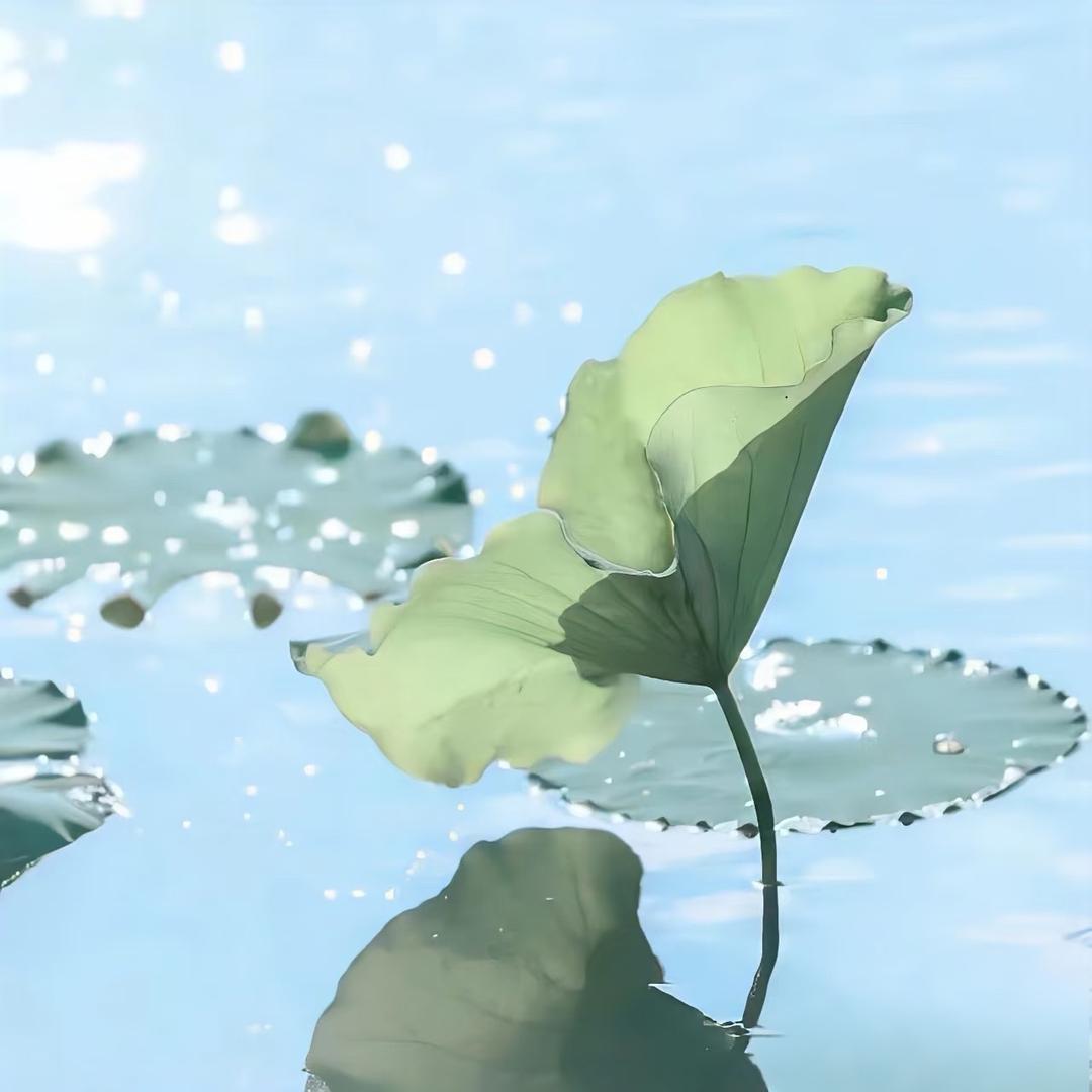 温柔乡。