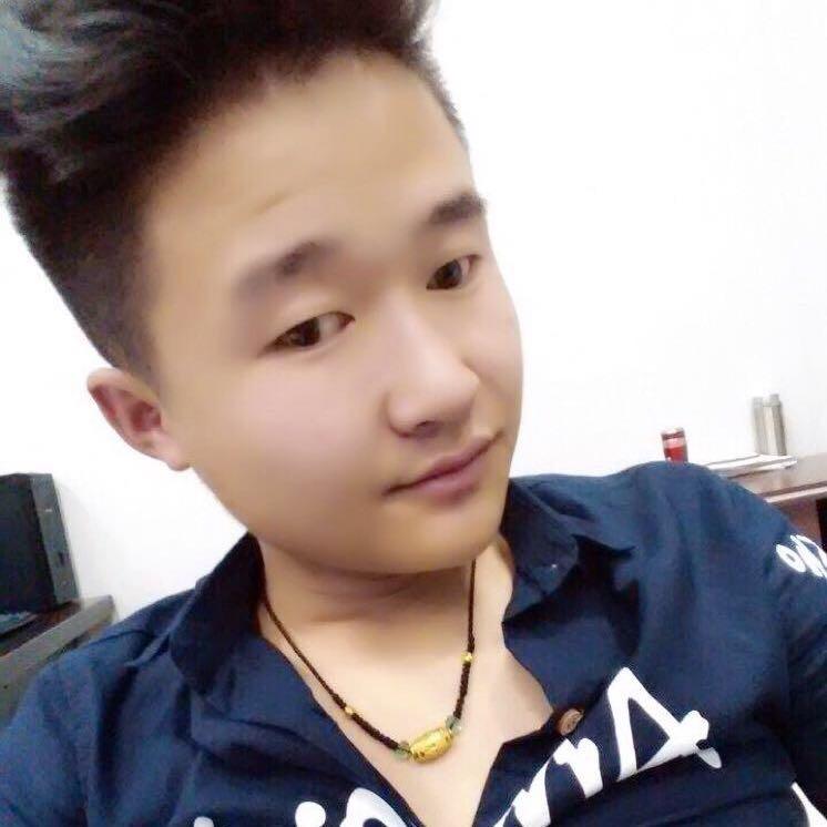 寂寞的鸭子