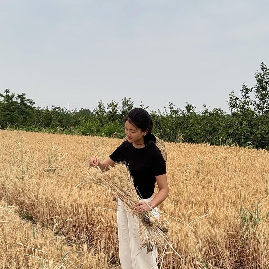 木一杨杨百货