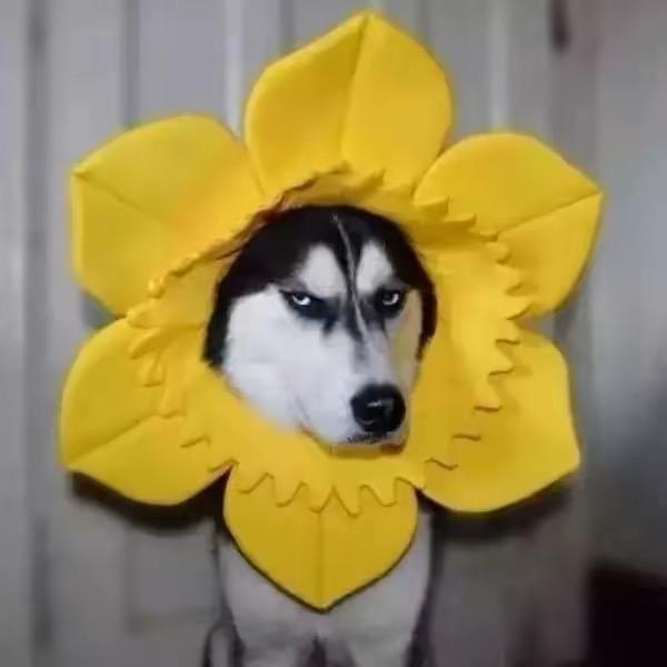 优秀选手