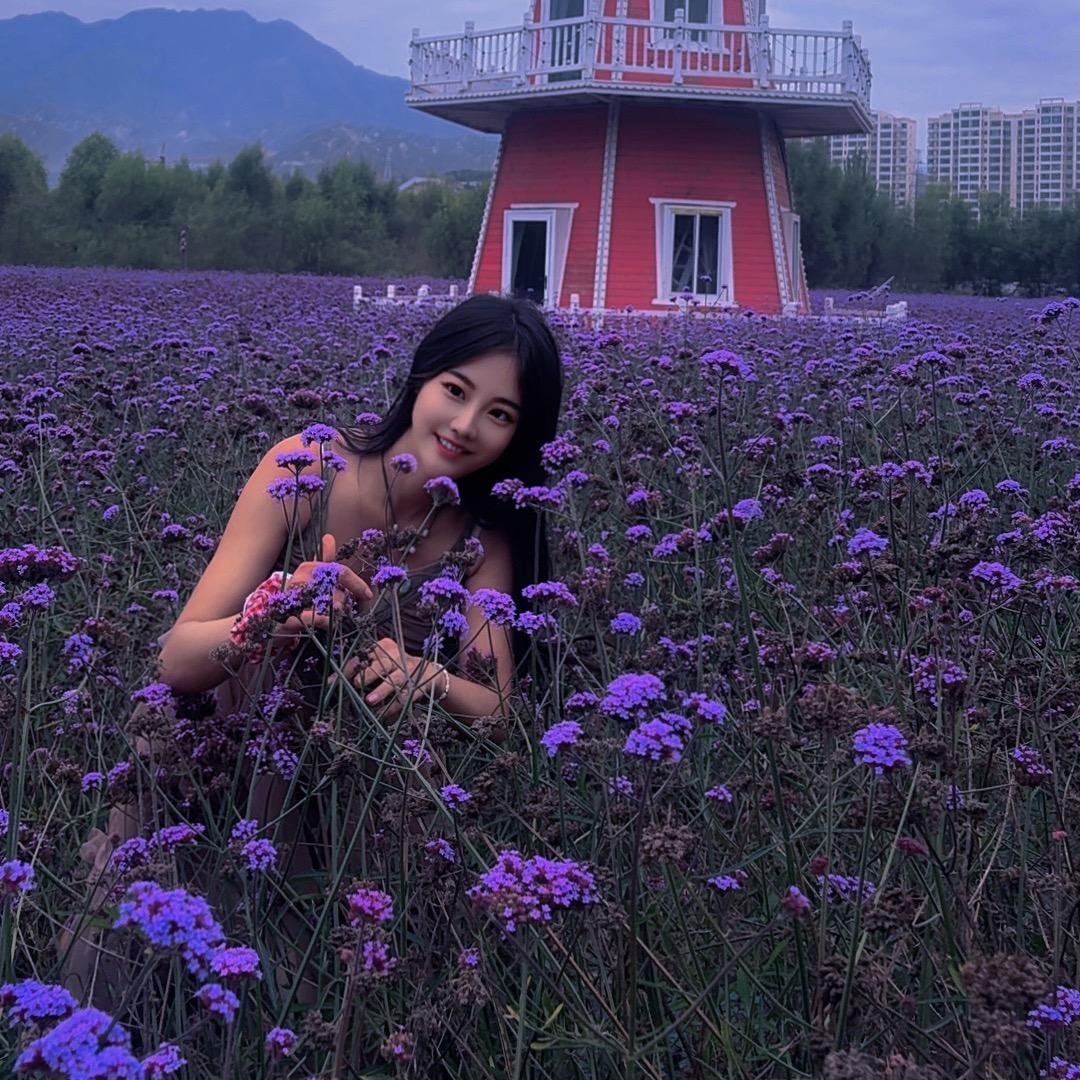 嘻嘻哈哈。记住你。