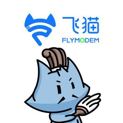 飞猫智联旺仕达电专卖店
