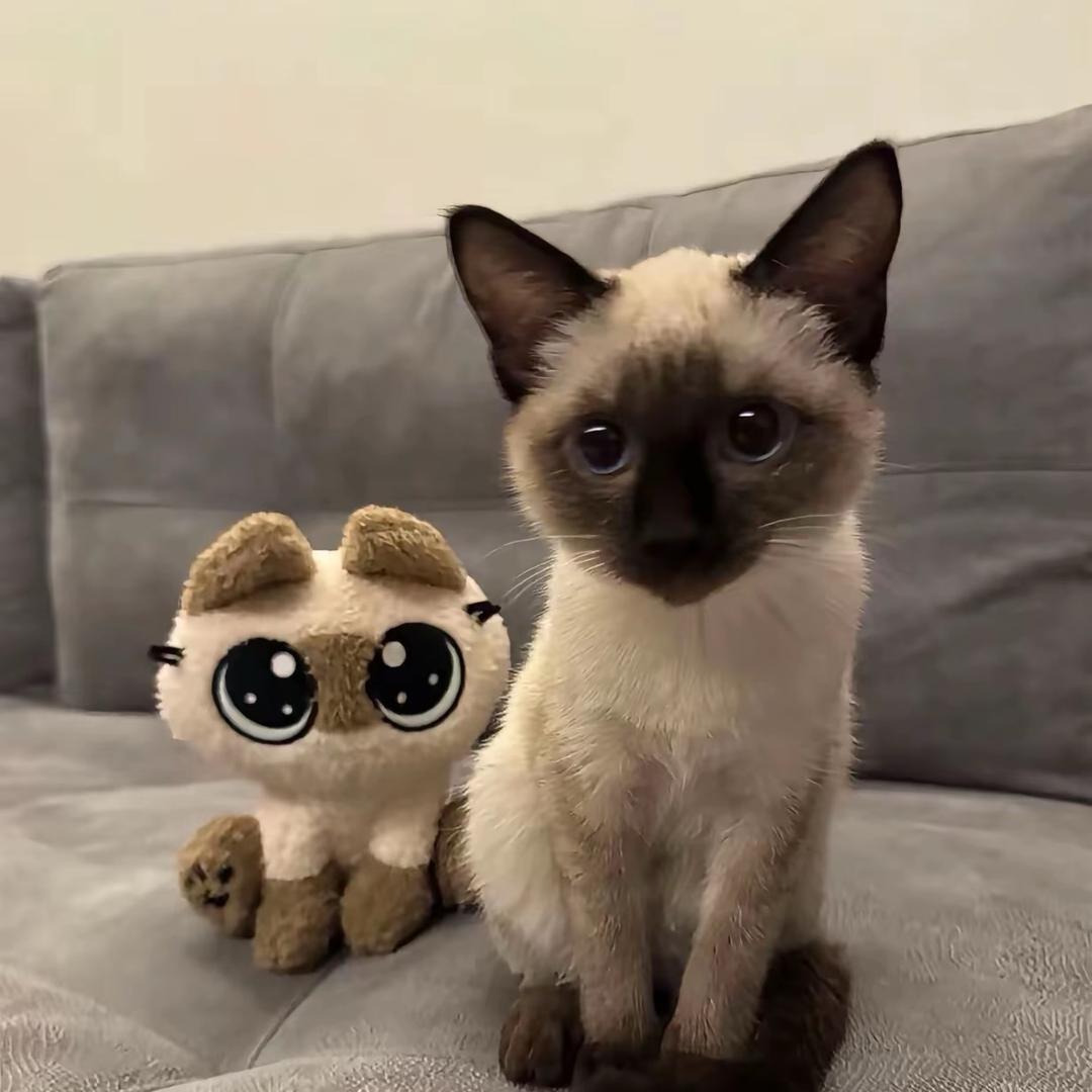 Myyyyy…