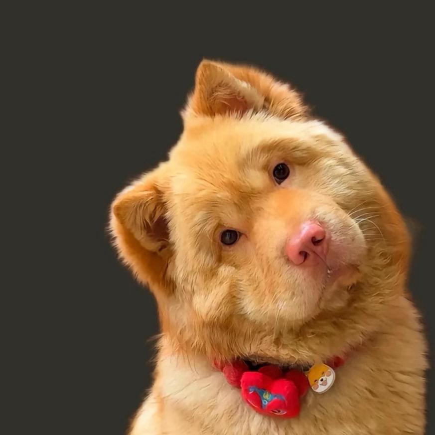 长兴炎炎一手房二手房