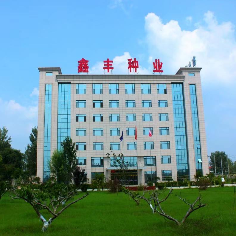 鑫丰种业—安耕店