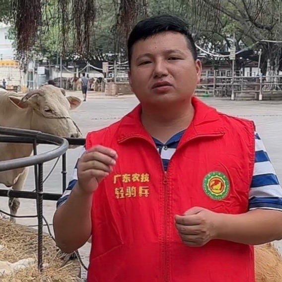陽小主说牛