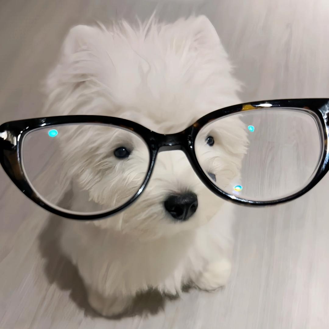 想一拳打扁这个世界