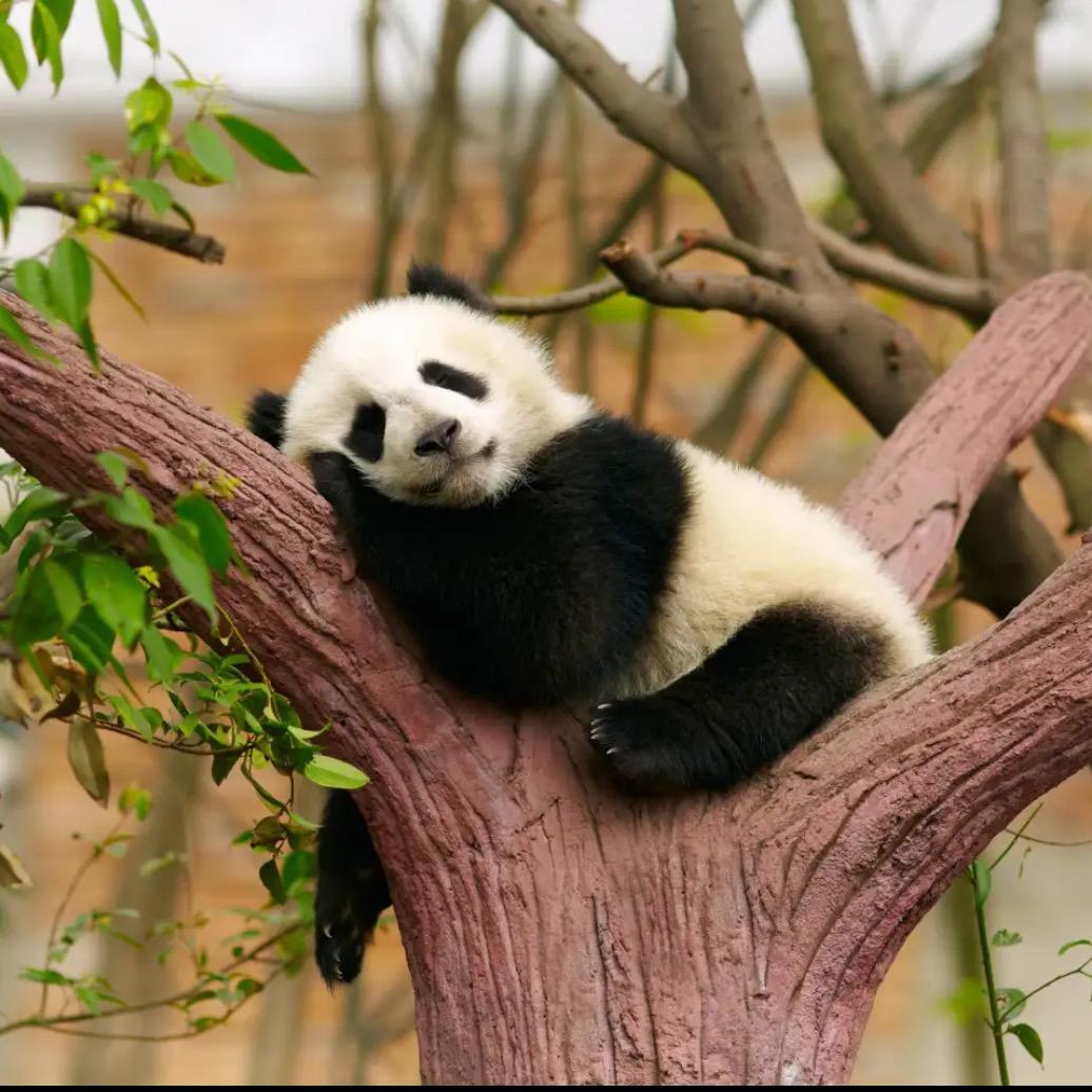 小小牙齿故事多