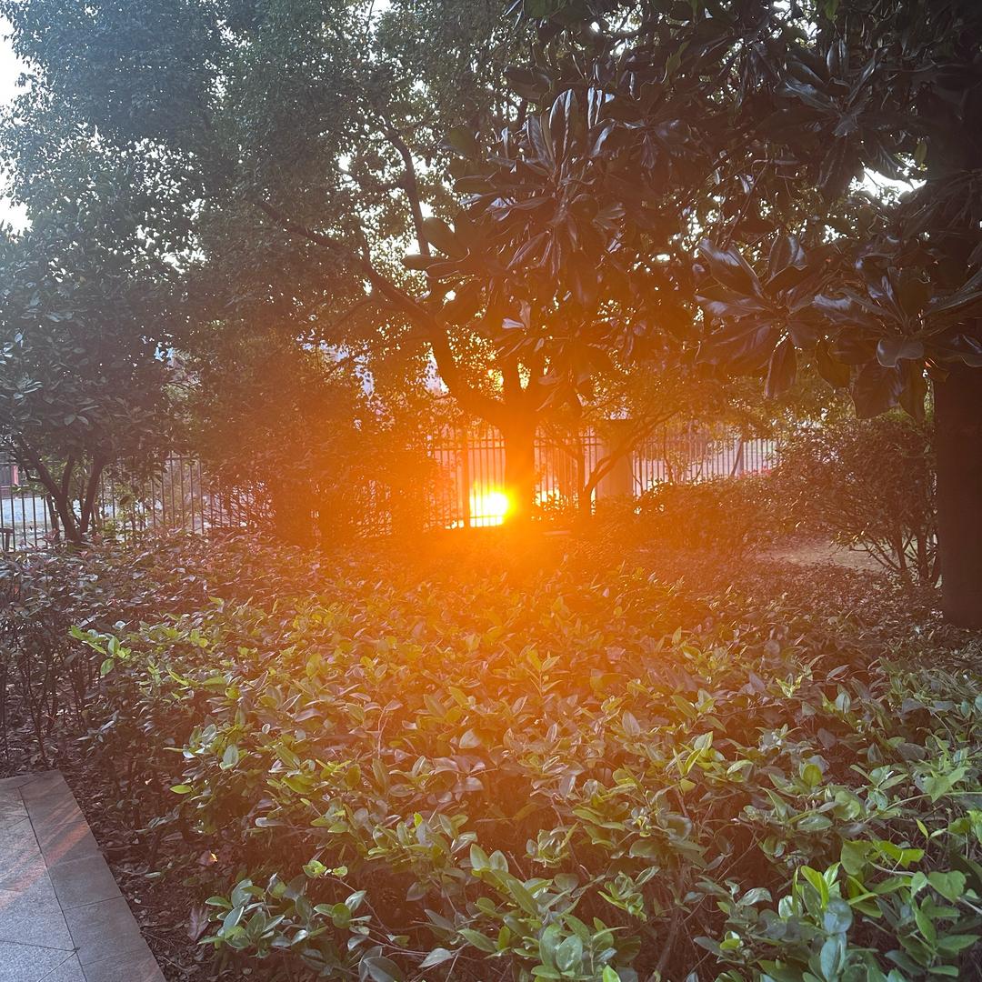 孝顺动感地带烫染