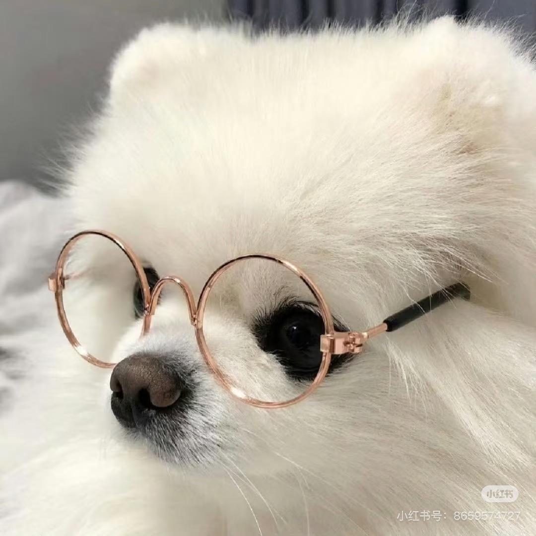 。.。.