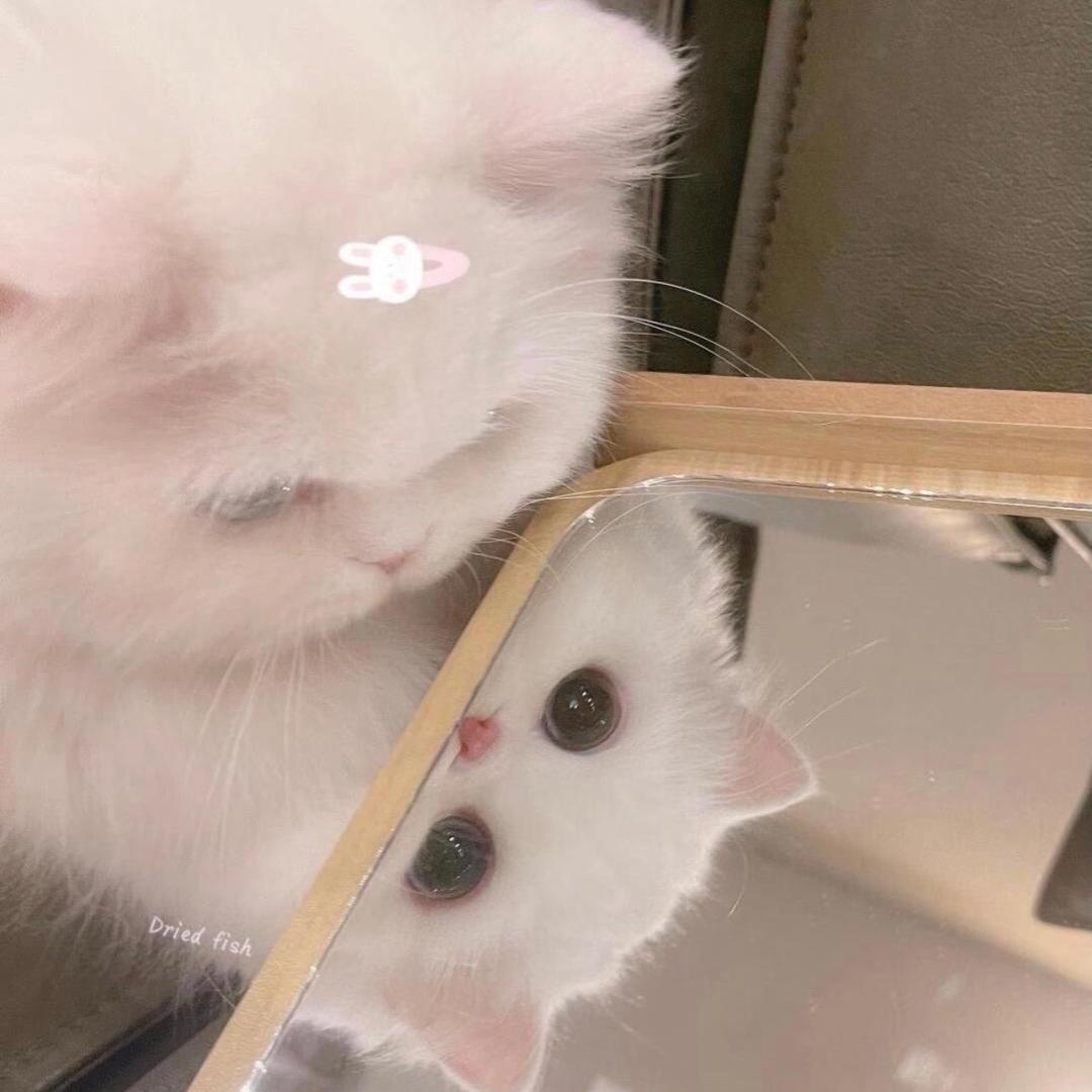 脸一点也不圆