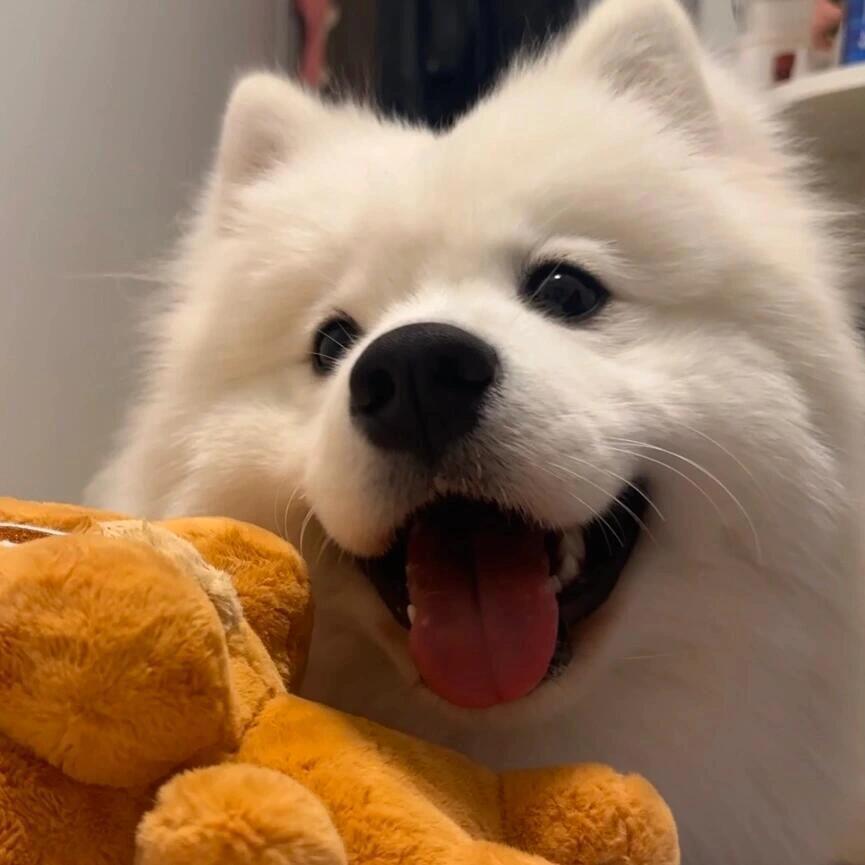 Mrsmile